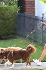 AUBREY PLAZA Out with Her Dogs in Los Feliz 04/03/2021