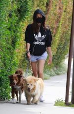 AUBREY PLAZA Out with Her Dogs in Los Feliz 04/11/2021