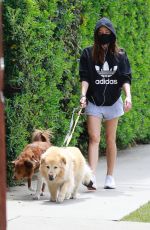 AUBREY PLAZA Out with Her Dogs in Los Feliz 04/11/2021