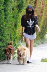 AUBREY PLAZA Out with Her Dogs in Los Feliz 04/11/2021