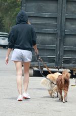 AUBREY PLAZA Out with Her Dogs in Los Feliz 04/11/2021