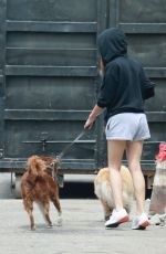 AUBREY PLAZA Out with Her Dogs in Los Feliz 04/11/2021