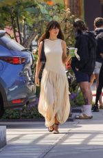 CAMILA MORRONE Out for Fresh Juice in Los Angeles 04/15/2021