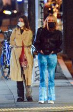 CHLOE SEVIGNY and Sinisa Mackovic Night Out in New York 04/07/2021