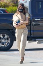DAKOTA JOHNSON Out Shopping in Malibu 04/19/2021