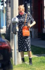 DIANE KRUGER Out in Los Angeles 04/08/2021