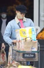 DIANE KRUGER Shopping at Bristol Farms in Los Angeles 04/23/2021