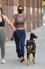 EMILY RATAJKOWSKI Out with Her Dog in New York 04/20/2021
