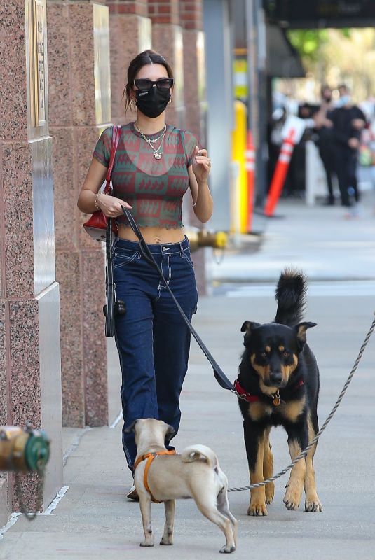 EMILY RATAJKOWSKI Out with Her Dog in New York 04/20/2021