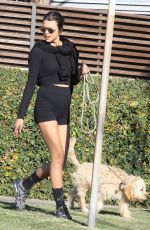 GEORGIA FOWLER Out with her Dog in Bondi 04/20/2021