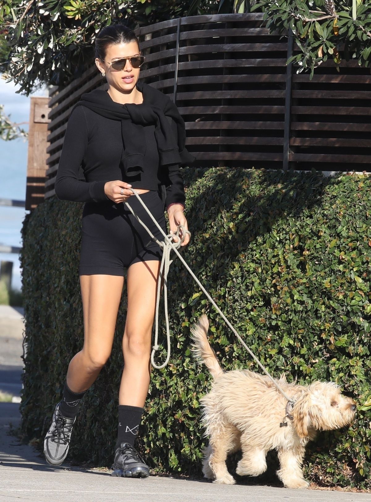 GEORGIA FOWLER Out with her Dog in Bondi 04/20/2021 – HawtCelebs