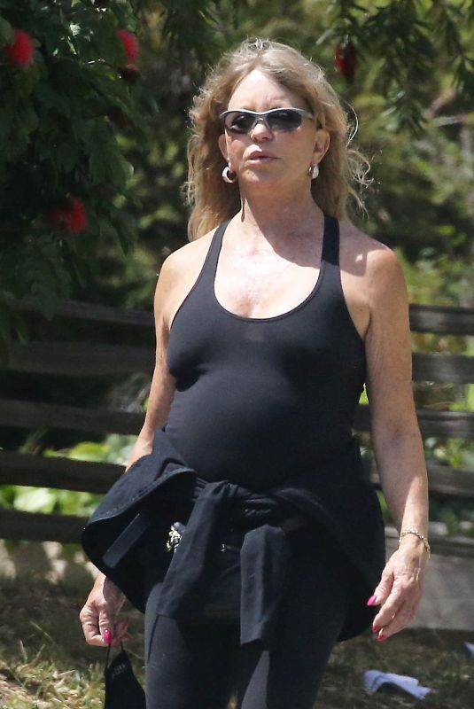 GOLDIE HAWN Out in Pacific Palisades 04/12/2021
