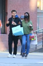 JODIE TURNER-SMITH Out Shopping in New York 04/05/2021