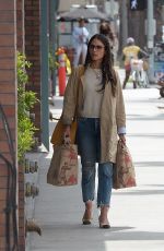 JORDANA BREWSTER Shopping at Trader Joe