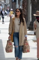 JORDANA BREWSTER Shopping at Trader Joe