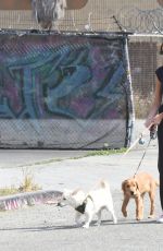 KAIA GERBER Out with Her Dogs in Los Angeles 04/24/2021