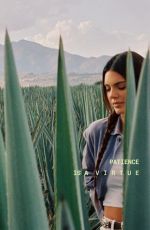 KENDALL JENNER for for Drink 818