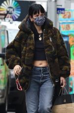 LILY ALLEN Out Shopping in New York 04/27/2021