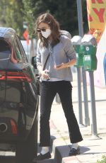 LILY COLLINS Leaves a Drycleaner in West Hollywood 03/31/2021