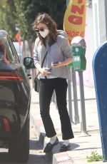 LILY COLLINS Leaves a Drycleaner in West Hollywood 03/31/2021