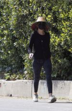 LISA RINNA Out and About in Los Angeles 04/12/2021