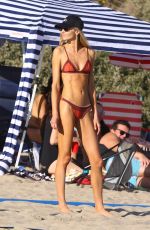 LUDI DELFINO in Bikini at a Beach in Malibu 04/18/2021