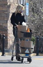 MALIN AKERMAN Out Shopping in Los Feliz 04/02/2221