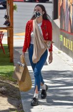 SCOUT WILLIS Out with Her Dog at Kreation Organic in Los Feliz 04/15/2021