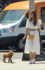 SHIVA SAFAI Out with Her Dog in Los Angeles 04/07/2021