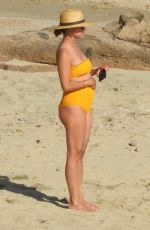 VANESSA MINNILLO in Swimsuit at a Beach in Cabo San Lucas 04/06/2021