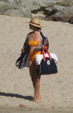 VANESSA MINNILLO in Swimsuit at a Beach in Cabo San Lucas 04/06/2021