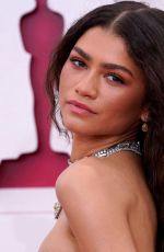 ZENDAYA COLEMAN at 93rd Annual Academy Awards in Los Angeles 04/25/2021