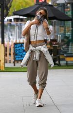ALESSANDRA AMBROSIO Out for Lunch at Bottega Louie in West Hollywood 05/15/2021