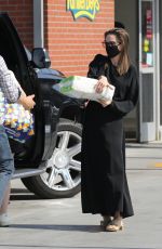 ANGELINA JOLIE Out Shopping in Los Feliz 05/07/2021