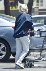 ARIEL WINTER Shopping at Gelson
