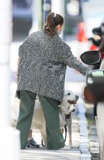 DREW BARRYMORE Out with Her Dog in New York 05/17/2021