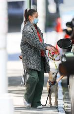 DREW BARRYMORE Out with Her Dog in New York 05/17/2021