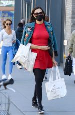 FAMKE JANSSEN  Out Shopping in New York 05/06/2021