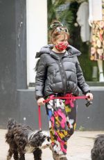 HELENA BONHAM CARTER and Rye Dag Golmboe Out with Their Dogs in London 05/18/2021