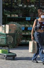 JESSE JO STARK Shopping at Whole Foods in Malibu 05/29/2021