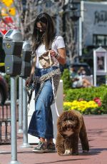 JORDANA BREWTSER Out with her Dog in Pacific Palisades 05/11/2021