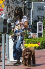 JORDANA BREWTSER Out with her Dog in Pacific Palisades 05/11/2021