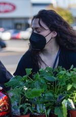 KAT DENNINGS Buying Plants in Studio City 05/18/2021