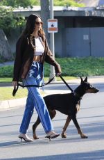 KENDALL JENNER Out with Her Doberman Pinscher in Beverly Hills 05/07/2021
