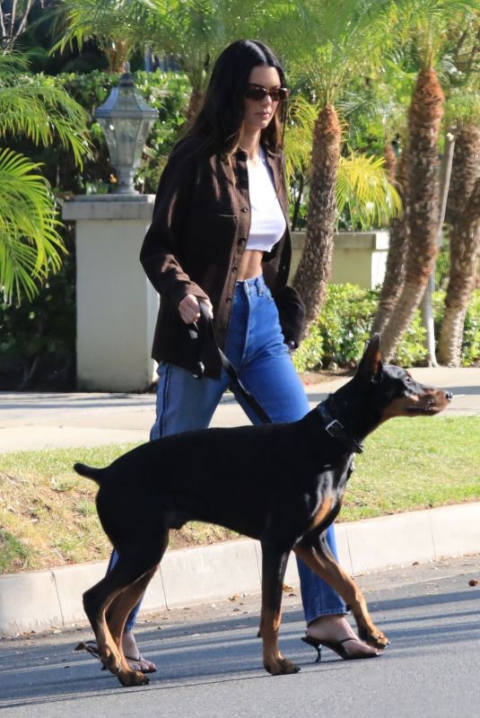 KENDALL JENNER Out with Her Doberman Pinscher in Beverly Hills 05/07/2021