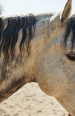 MACKENZIE FOY for A Day with a Horse, April 2021