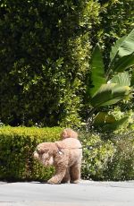 MARCIA CROSS Out with Her Dog in Los Angeles 05/27/2021