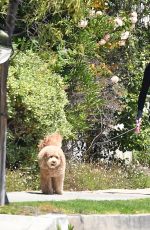 MARCIA CROSS Out with Her Dog in Los Angeles 05/27/2021