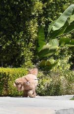 MARCIA CROSS Out with Her Dog in Los Angeles 05/27/2021