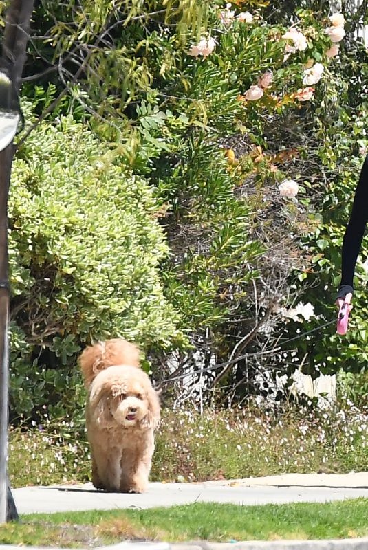 MARCIA CROSS Out with Her Dog in Los Angeles 05/27/2021
